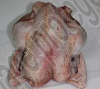 Poulet découpé, prêt à cuire